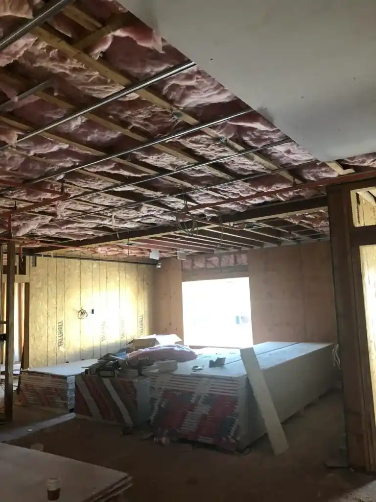 Project Recovery/ Project Intervention