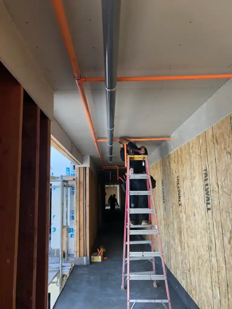 Project Recovery/ Project Intervention